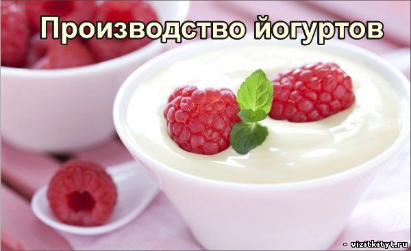 Визитка производство йогуртов