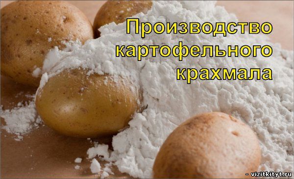 Визитка производство картофельного крахмала