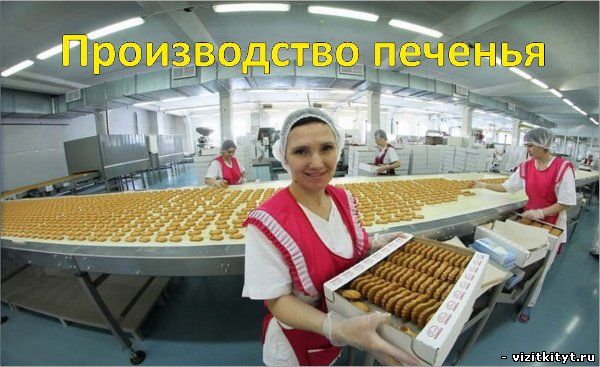Визитка производство печенья