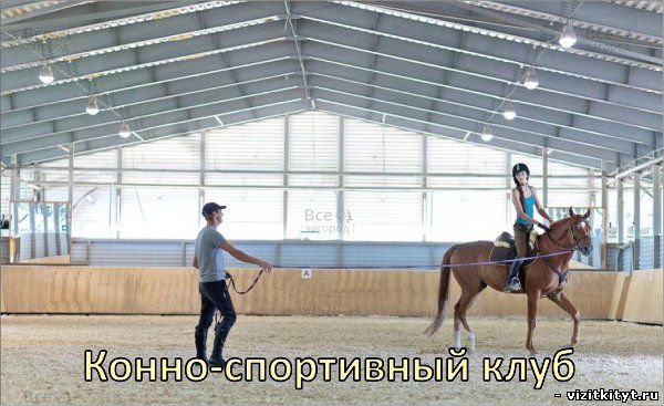Визитка конно-спортивный клуб
